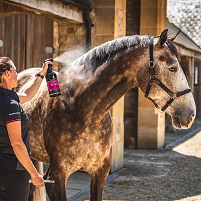 Canter Mane & Tail Conditioner