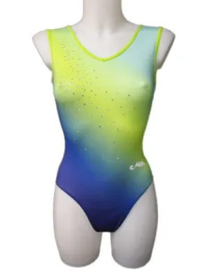 Flavie K1 Leotard