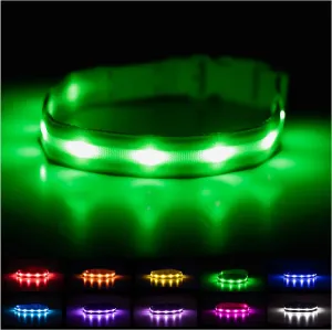 Glow in the Dark Dog Collar