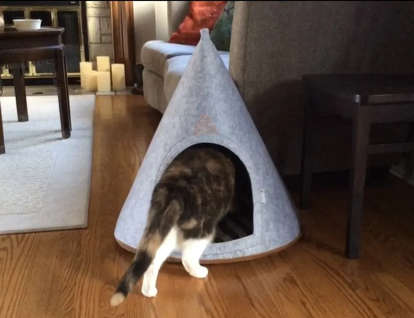 Lucy Cat Cave