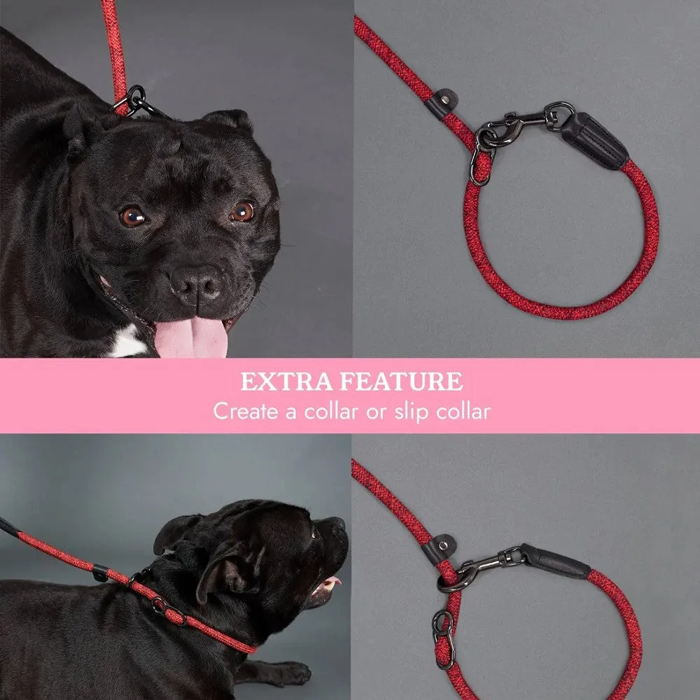 Metro Parking & Tether Leash