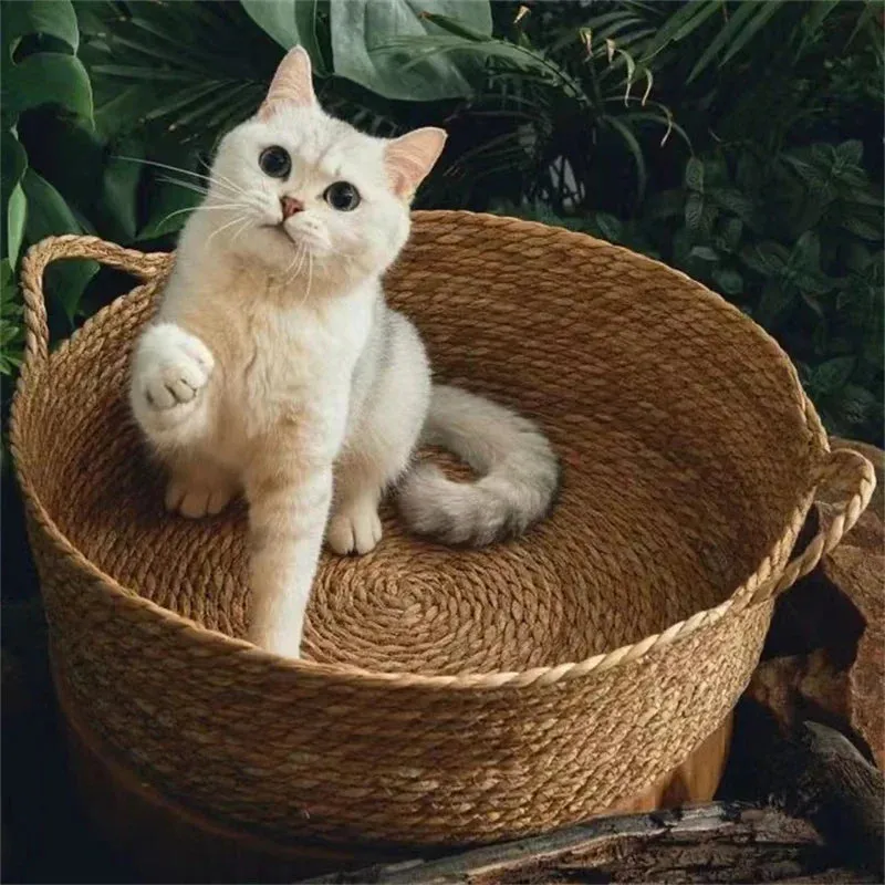 Rattan Woven Cat Bed – Four-Season Nest