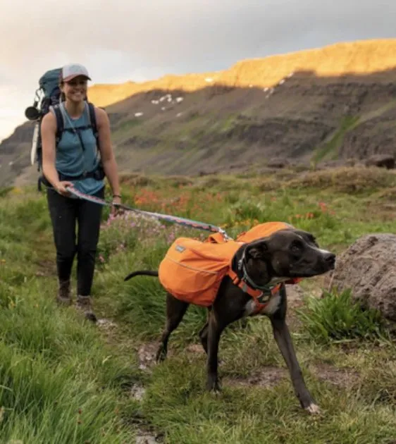 Ruffwear Crag™ Reflective & Multi-Use Dog Leash (Alpine Dusk)