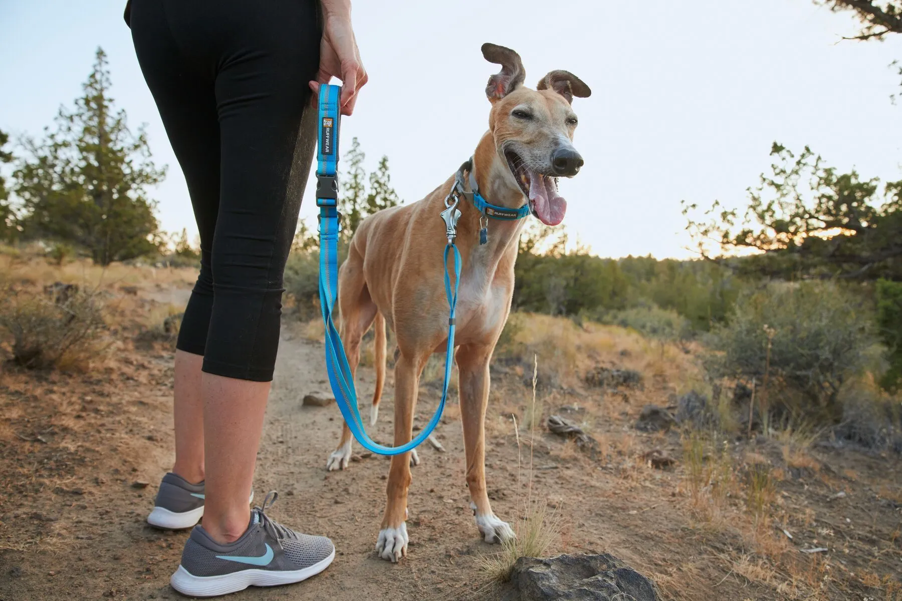 Ruffwear Crag™ Reflective & Multi-Use Dog Leash (Granite Gray)