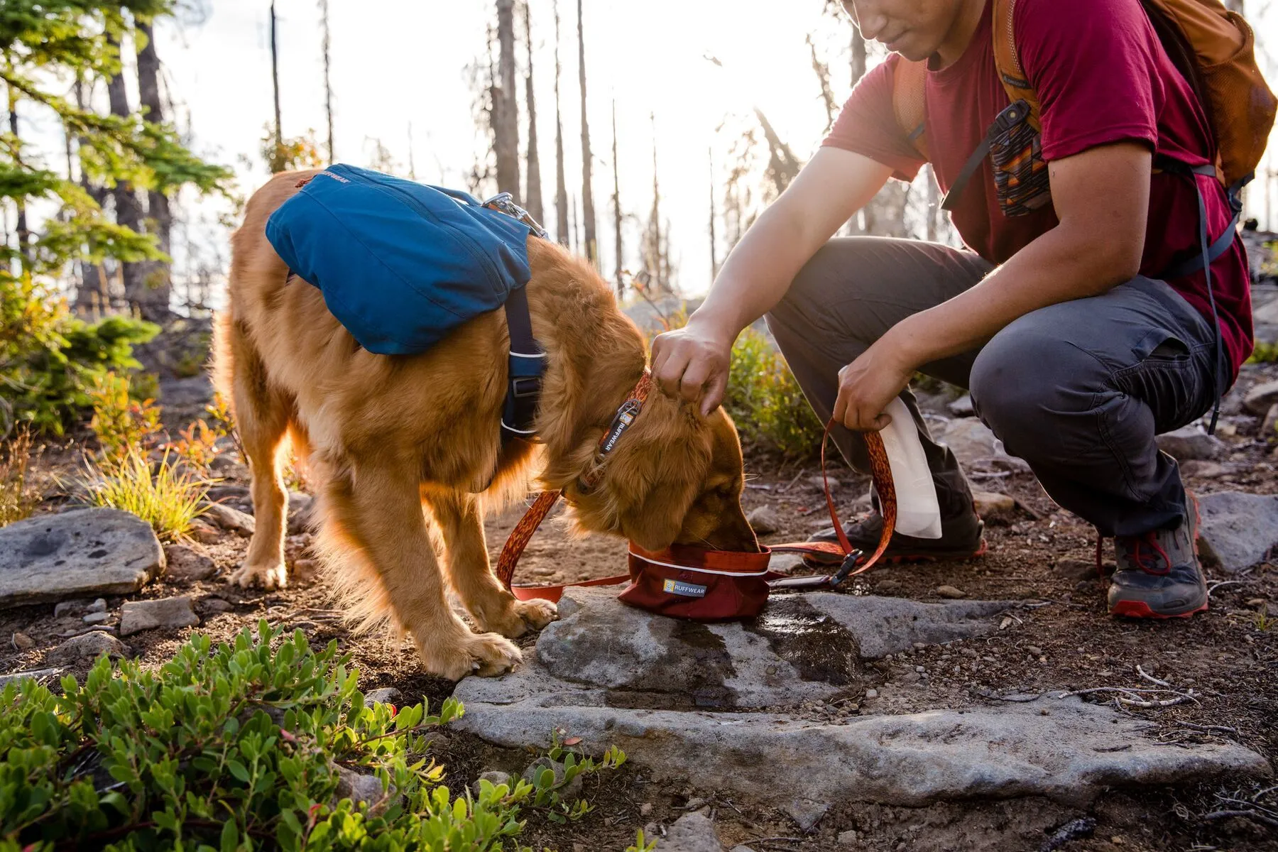 Ruffwear Flat Out™ Patterned & Multi-Use Dog Leash (Fall Mountains)