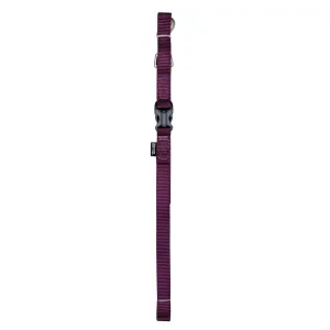 Zeus Nylon Dog Leash Royal Purple